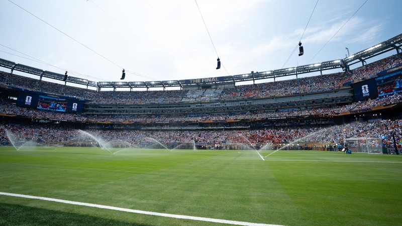 NFL players demand natural grass after World Cup proves it can be done 